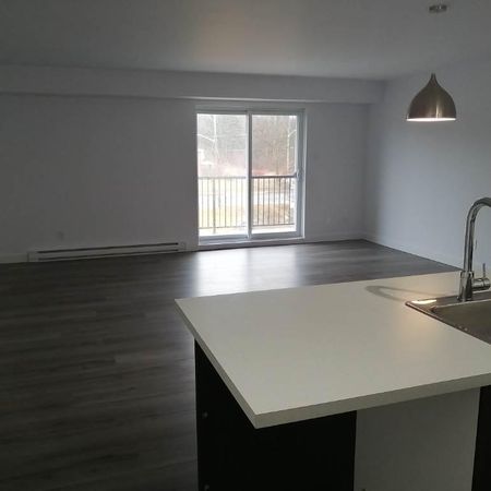 APPARTEMENT/CONDO**4 ½** 20435, Boul. Henri-Bourassa - Photo 3