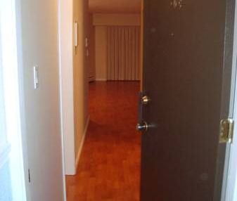 Large Renovated One Bedroom Suite in Mt Pleasant (Main & 12th) - Photo 3