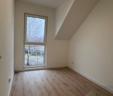 Dom | Wynajem - Фото 3