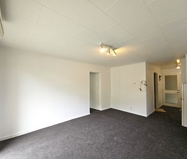 Unit 2, 93 Queen Street, North Dunedin, Dunedin - Photo 5
