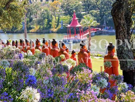 Moradia T3 em Leiria - Photo 5