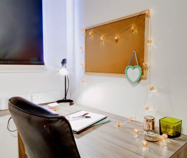 Classic Studio - Photo 6