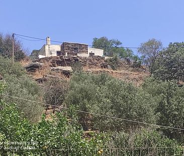 Μονοκατοικία για ενοικίαση - Κέα - Τζιά, - Φωτογραφία 1