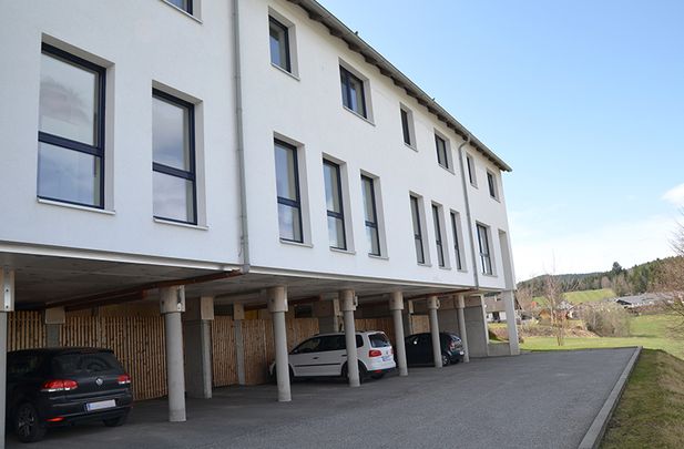 Wohnung in Rappottenstein - Foto 1