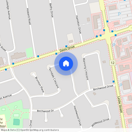 977 Ferndale Crescent Unit# Lower, Newmarket