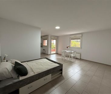 Location Appartement 1 pièce 38m² ST LOUIS 68300 - Photo 3