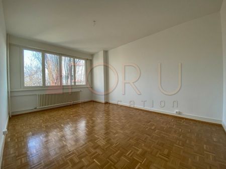 3.5 Zimmer, 62 m², EG - Photo 2