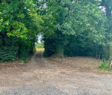 2 bedroom property to rent - Photo 4