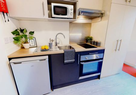 Bronze Studio Plus - Photo 2