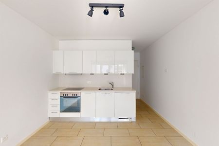 Vivi Bellinzona con stile - 2.5 locali in posizione centrale - Photo 2