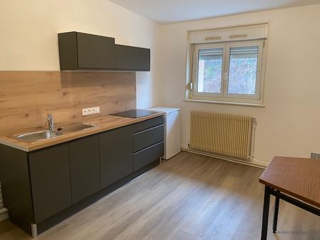 Location Appartement 2 pièces 30m² REMIREMONT 88200 - Photo 3
