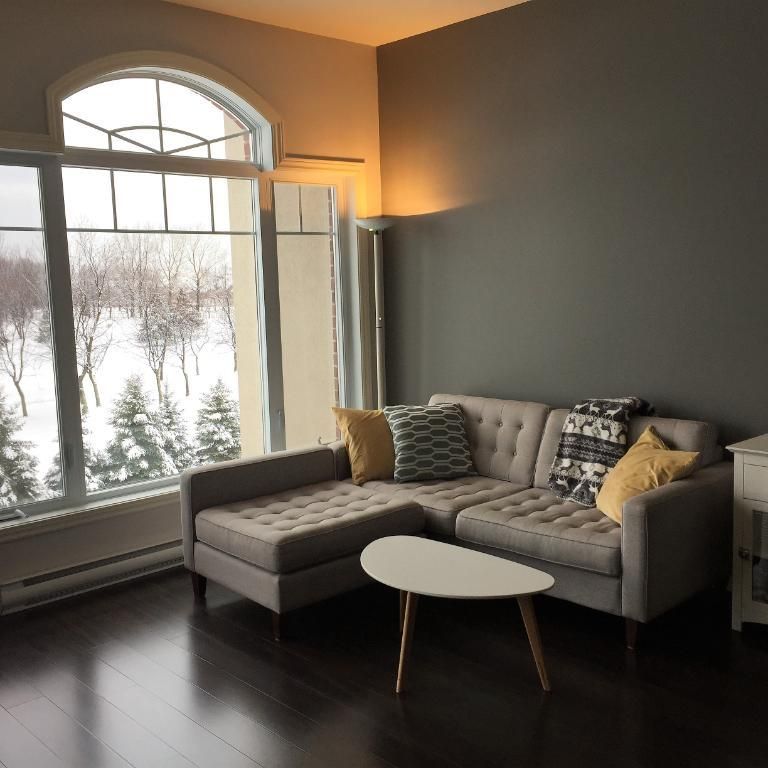 Grand condo 4 ½, électroménagers inclus, vue Grand parc urbain, près du dix30 et du REM à Brossard - Photo 1