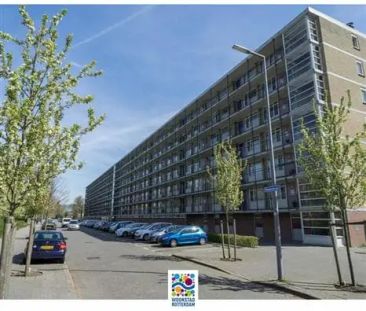 Appartement Rodaristraat 80, Rotterdam (Prinsenland) - À Louer - Photo 6