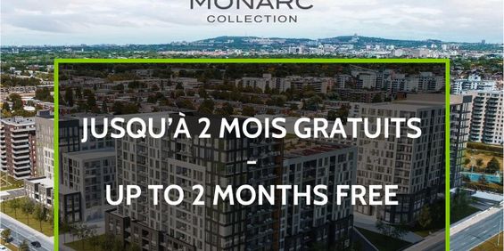 1-01B 1 Chambre/1 Bedroom - 2800 Thimens, Montréal - Photo 3