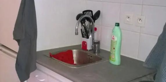 Appartement à louer 1 pièce 22.44m² - Photo 2