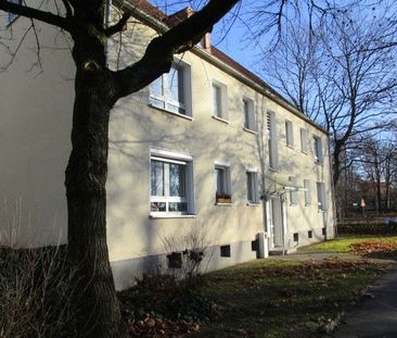 Top-Angebot: Frisch renovierte 2-Raum-Wohnung in ansprechender Lage - Foto 2