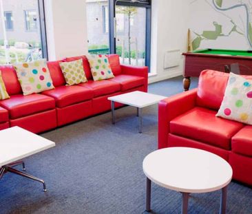 Large Standard Double Studio - Photo 4