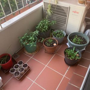 Warwick Farm - Photo 3