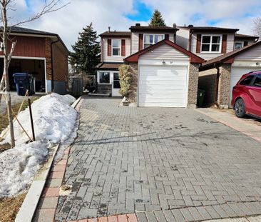 For Lease - 39 Treetops Court Unit# Bsmt, Toronto, Ontario - Photo 2