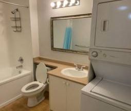 2 bedroom basement suite - Photo 4