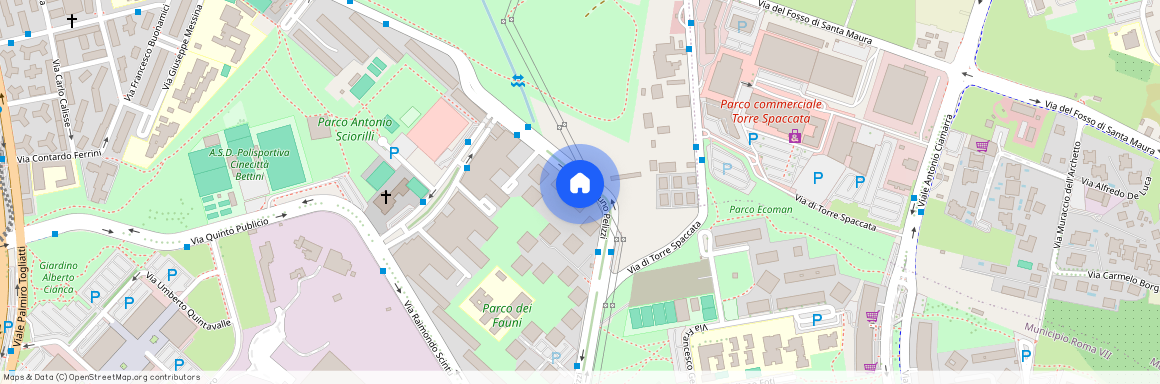 Viale Bruno Pelizzi 67, 00173 Rome RM, Italy