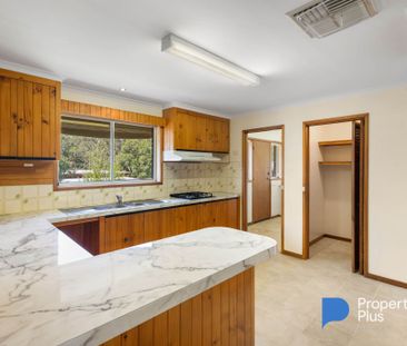 Spacious Family Living with Outdoor Appeal - Photo 3