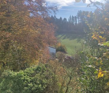 5 Zimmer, 115 m² - Foto 5