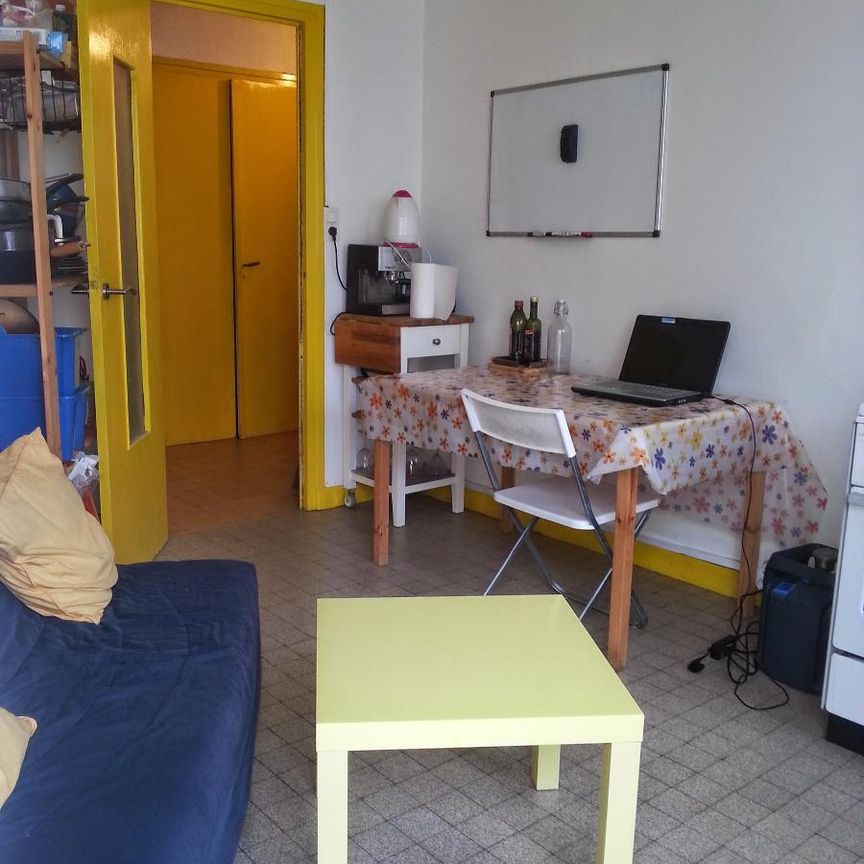 Location Appartement 2 pièces 35m² GRENOBLE 38100 - Photo 1