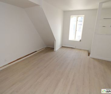 2 1/2-248, rue Christophe-Colomb Ouest, Limoilou à louer - Photo 3