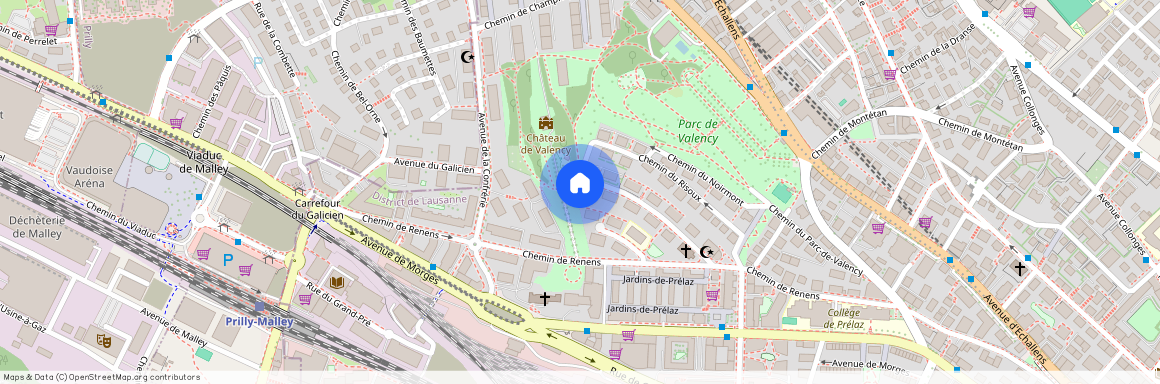 Avenue de Severy 19, 1004 LAUSANNE