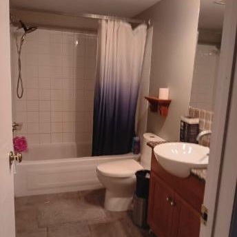 Chambre 1 1/2 acceptant 1 chat - Photo 4