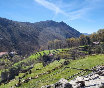 Moradia T1 em Viana do Castelo - Photo 5