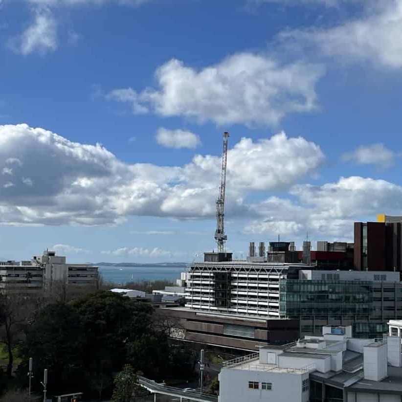 One Bedroom Apartment in Auckland City with Stunning Ocean View for Rent! - Photo 1
