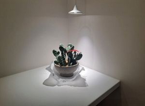 Studio/Γκαρσονιέρα για ενοικίαση - Ξηροκρήνη - Παναγία Φανερωμένη, - Φωτογραφία 2