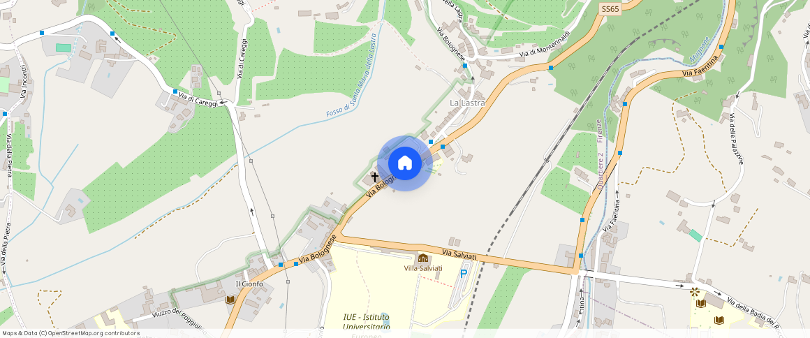 Firenze, Via Bolognese