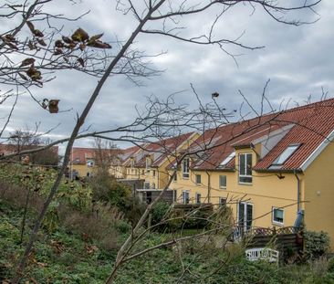 Afd. 19 - Løgstør Boligforening - Photo 4