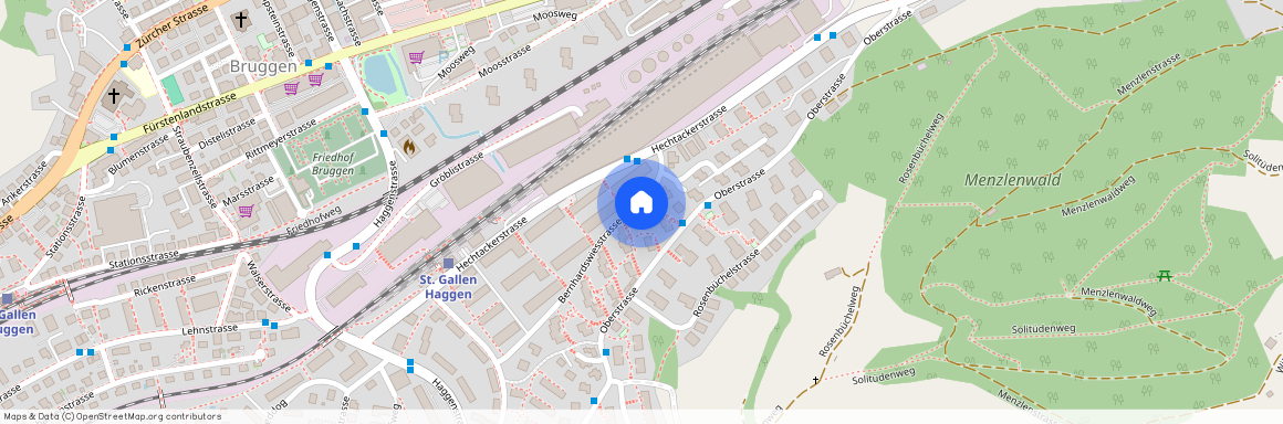 Bernhardswiesstrasse 11, 9014 St. Gallen