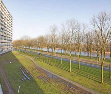 Pharus 0ong, 1503 EC Zaandam, Nederland - Foto 1