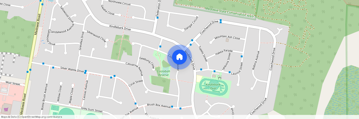 31 Coolabah Rd, Medowie NSW 2318