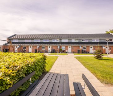 Ellehammersvej og Ulrik Birchs Vej - Photo 1