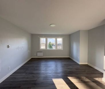 2 Bed 1 Bath Ground Floor Suite For Rent - Photo 1