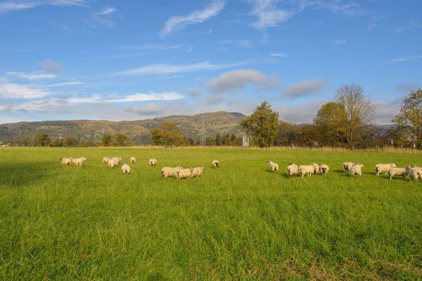 3 bedroom semi-detached house to rent - Photo 1