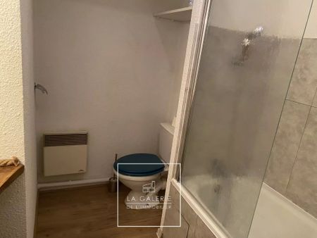 Location Appartement 1 pièce 21m² TOULOUSE 31000 - Photo 4