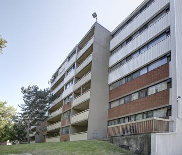 The Laurentian - Photo 3