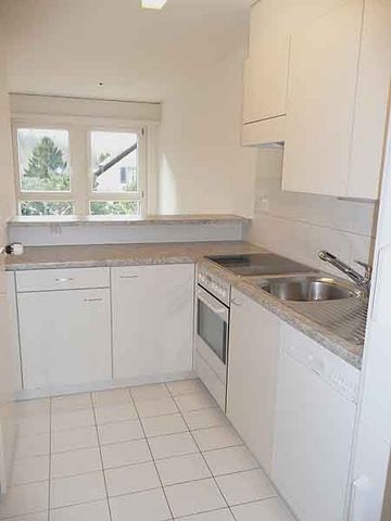 2.5 Zimmer, 56 m², 1. Stock - Foto 3