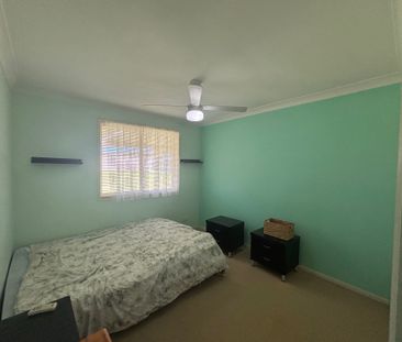 Elegant Eucalyptus - Photo 5