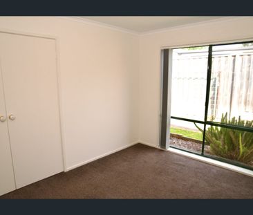 Vibrant Coastal Living - Photo 3