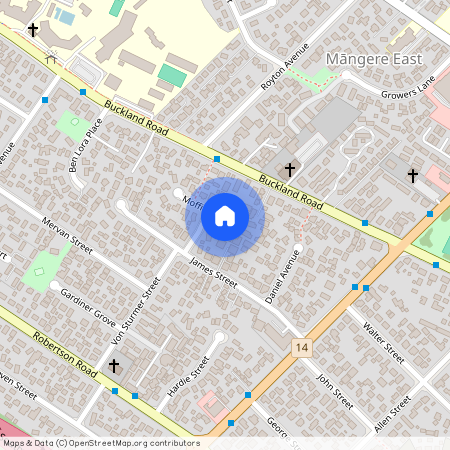 9 Moffitt Place, Mangere