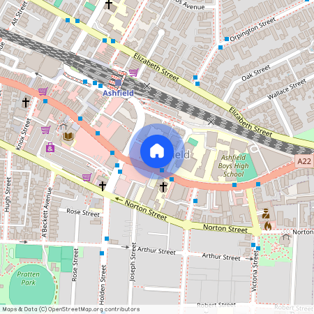 193 Liverpool Rd Ashfield, Sydney, New South Wales 2131