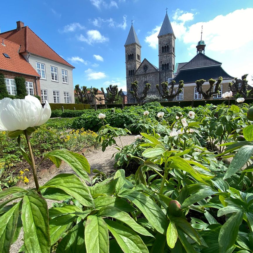 Hyggelig 2 værelses lejlighed til leje nu i Viborg midtby - Foto 1